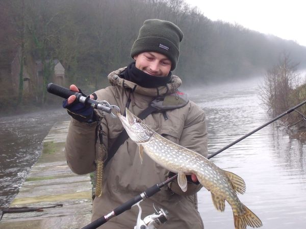 Brochet Brochet